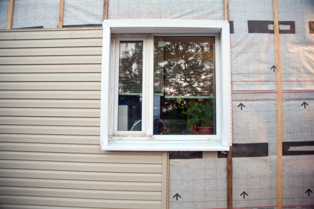 Best Custom Trim and Detailing for Siding  in La Palma, CA