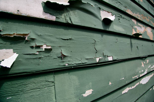 Best Custom Trim and Detailing for Siding  in La Palma, CA