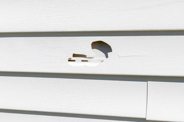 Best Wood Siding Installation  in La Palma, CA
