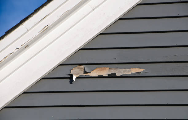 Best Aluminum Siding Installation  in La Palma, CA