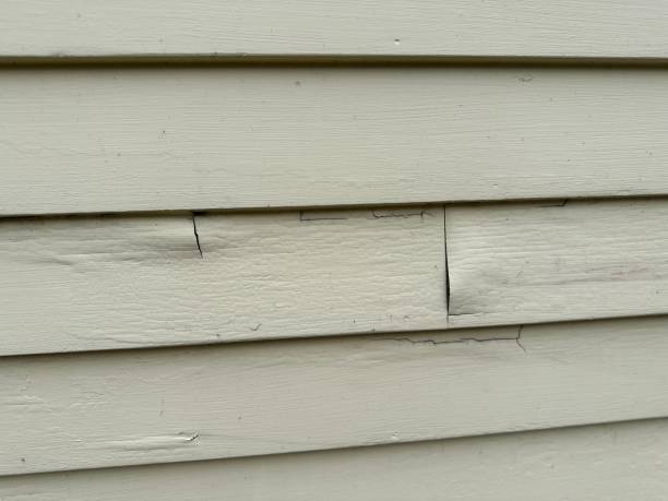 Best Stucco Siding  in La Palma, CA