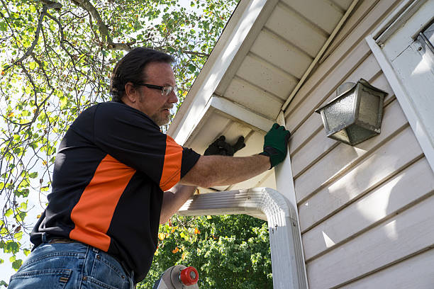 Best Insulated Siding Installation  in La Palma, CA